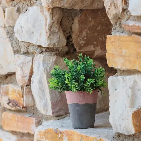 Stone Kontiani - Blue Vila